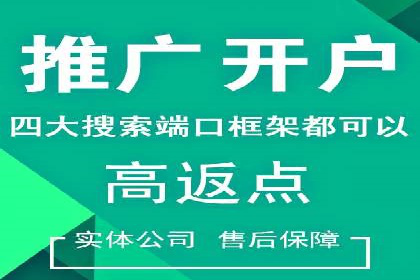 精准投放，高效转化——SEM竞价优化案例集